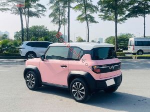 Xe VinFast VF3 Plus 2024