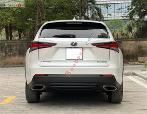 Xe Lexus NX 300 2018