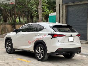 Xe Lexus NX 300 2018