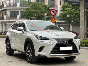 Xe Lexus NX 300 2018