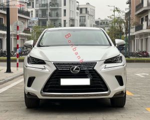 Xe Lexus NX 300 2018